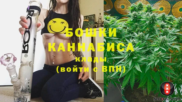 ПСИЛОЦИБИНОВЫЕ ГРИБЫ Белоозёрский