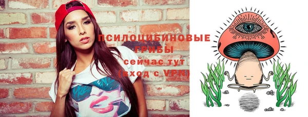 ПСИЛОЦИБИНОВЫЕ ГРИБЫ Белоозёрский