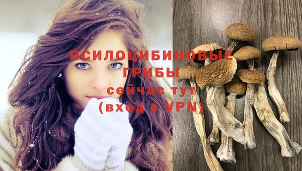 ПСИЛОЦИБИНОВЫЕ ГРИБЫ Белоозёрский