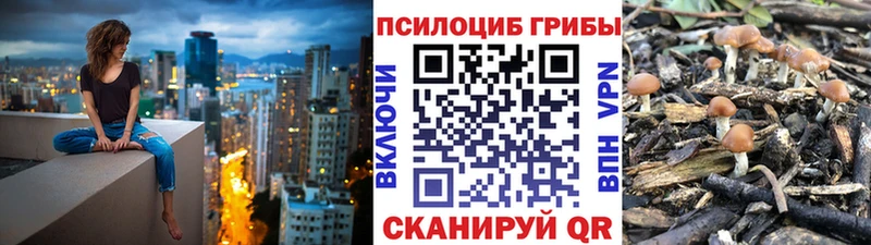 Псилоцибиновые грибы Cubensis  Гулькевичи 