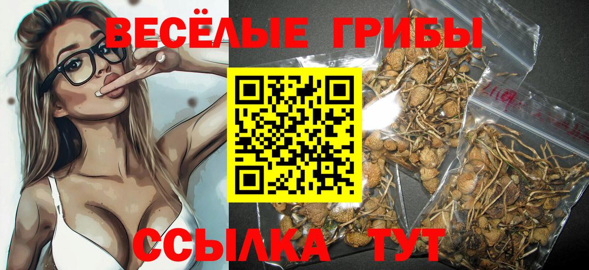 Гулькевичи  Псилоцибиновые грибы мухоморы  Вход с VPN 